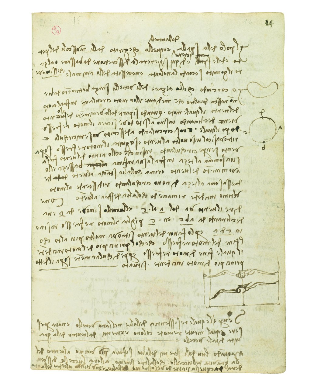 Codex sobre o voo dos pássaros, folha 14 reto de Leonardo da Vinci