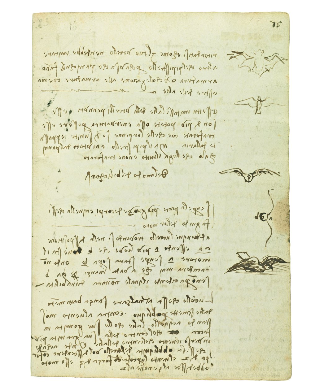 Codex sobre o voo dos pássaros, folha 15 reto de Leonardo da Vinci