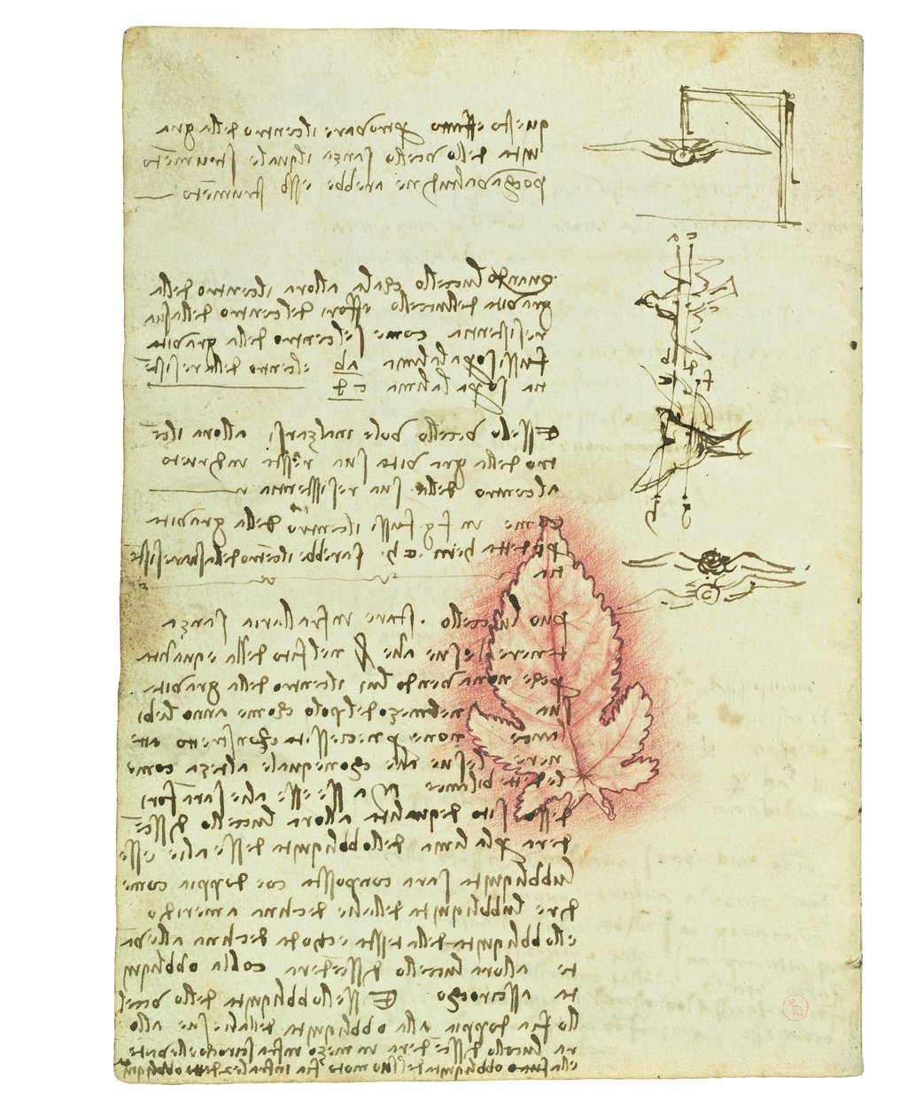 Codex sobre o voo dos pássaros, folha 15 verso de Leonardo da Vinci