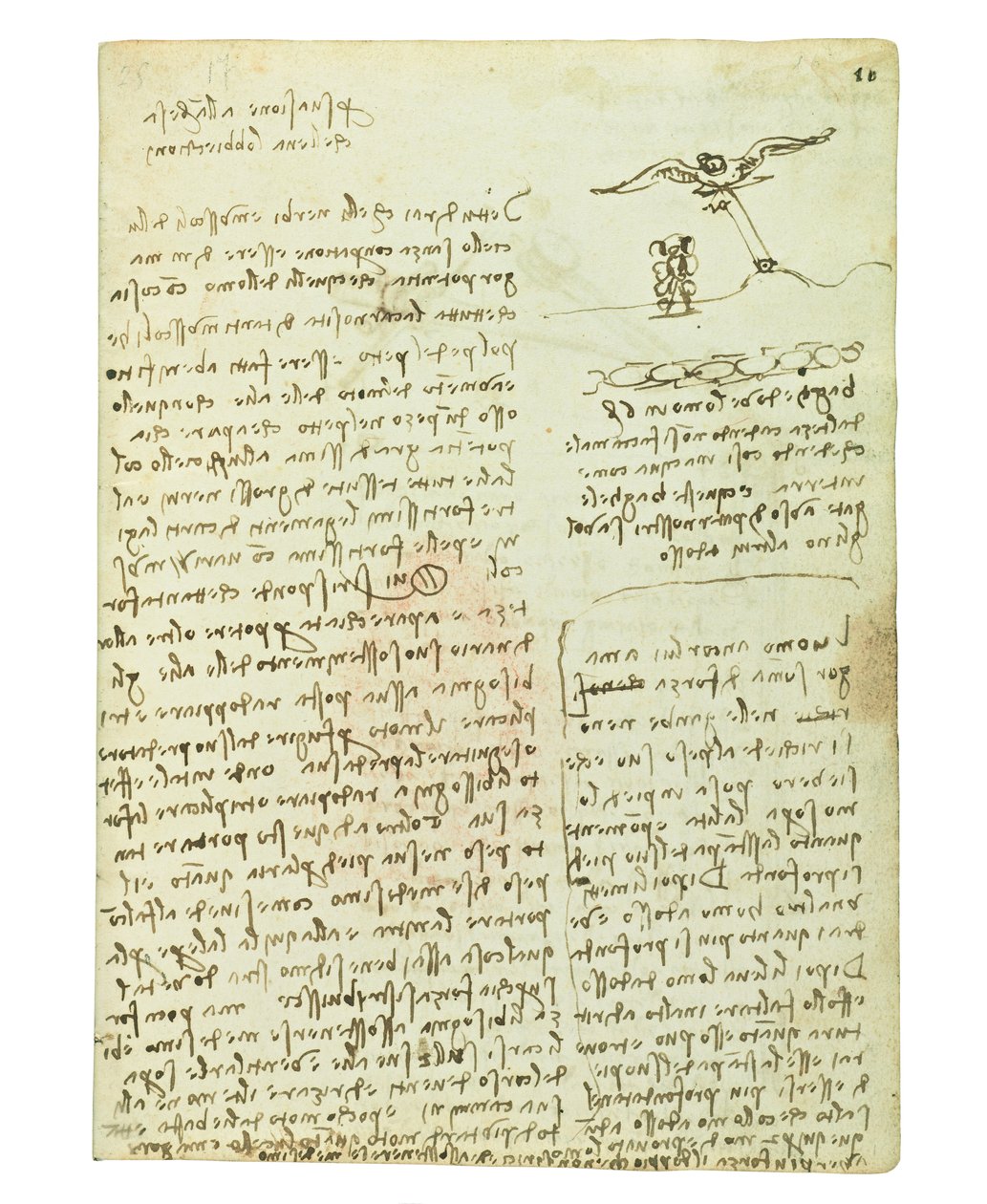 Codex sobre o voo dos pássaros, folha 16 reto de Leonardo da Vinci
