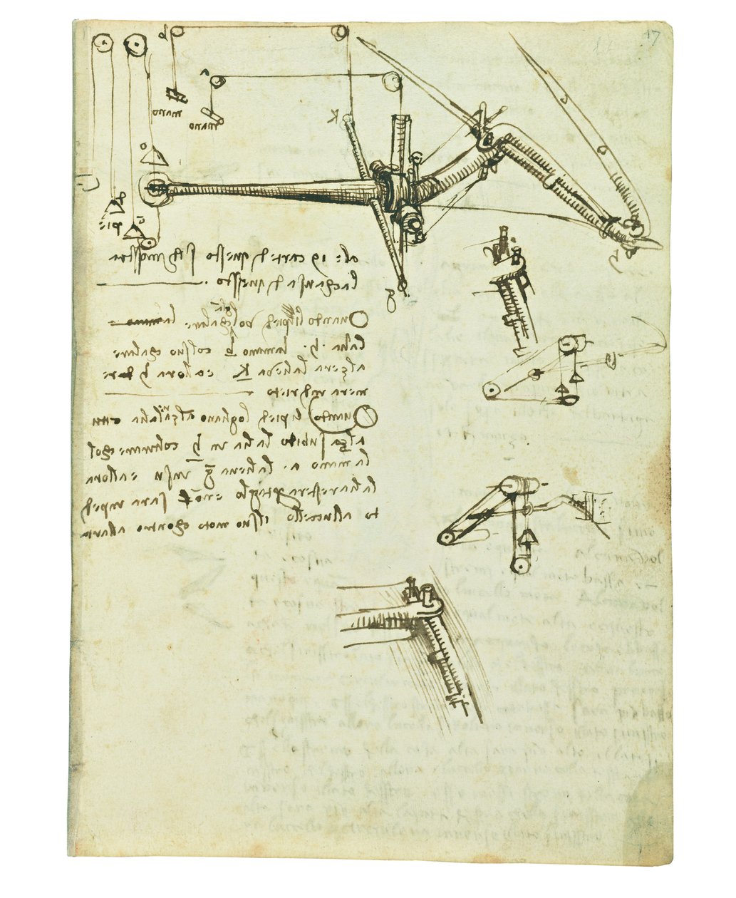 Codex sobre o voo dos pássaros, folha 17 reto de Leonardo da Vinci