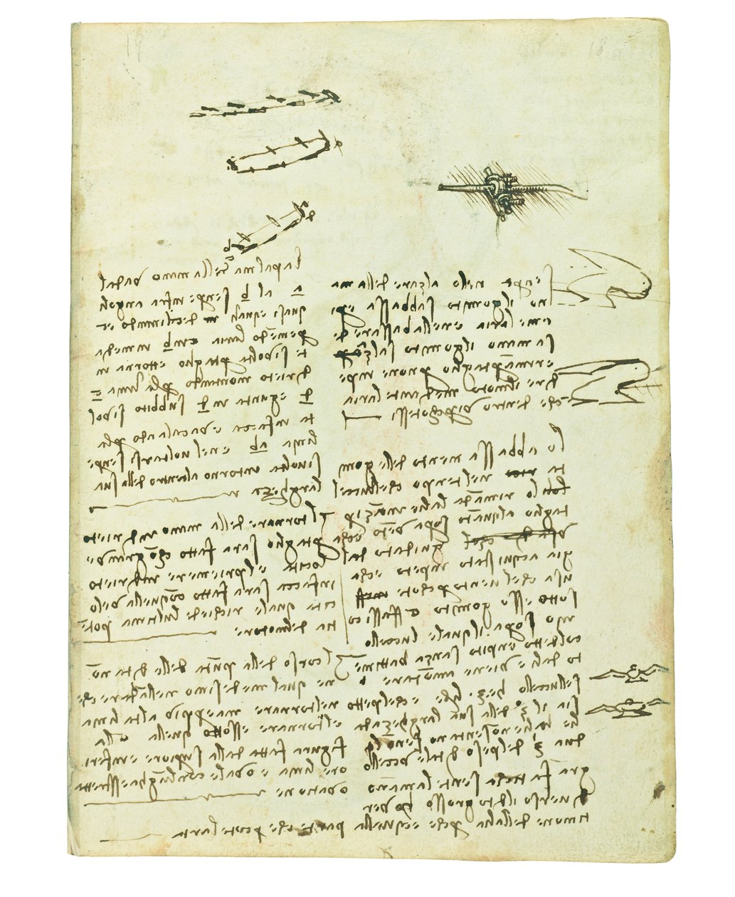 Codex sobre o voo dos pássaros, folha 18 a de Leonardo da Vinci