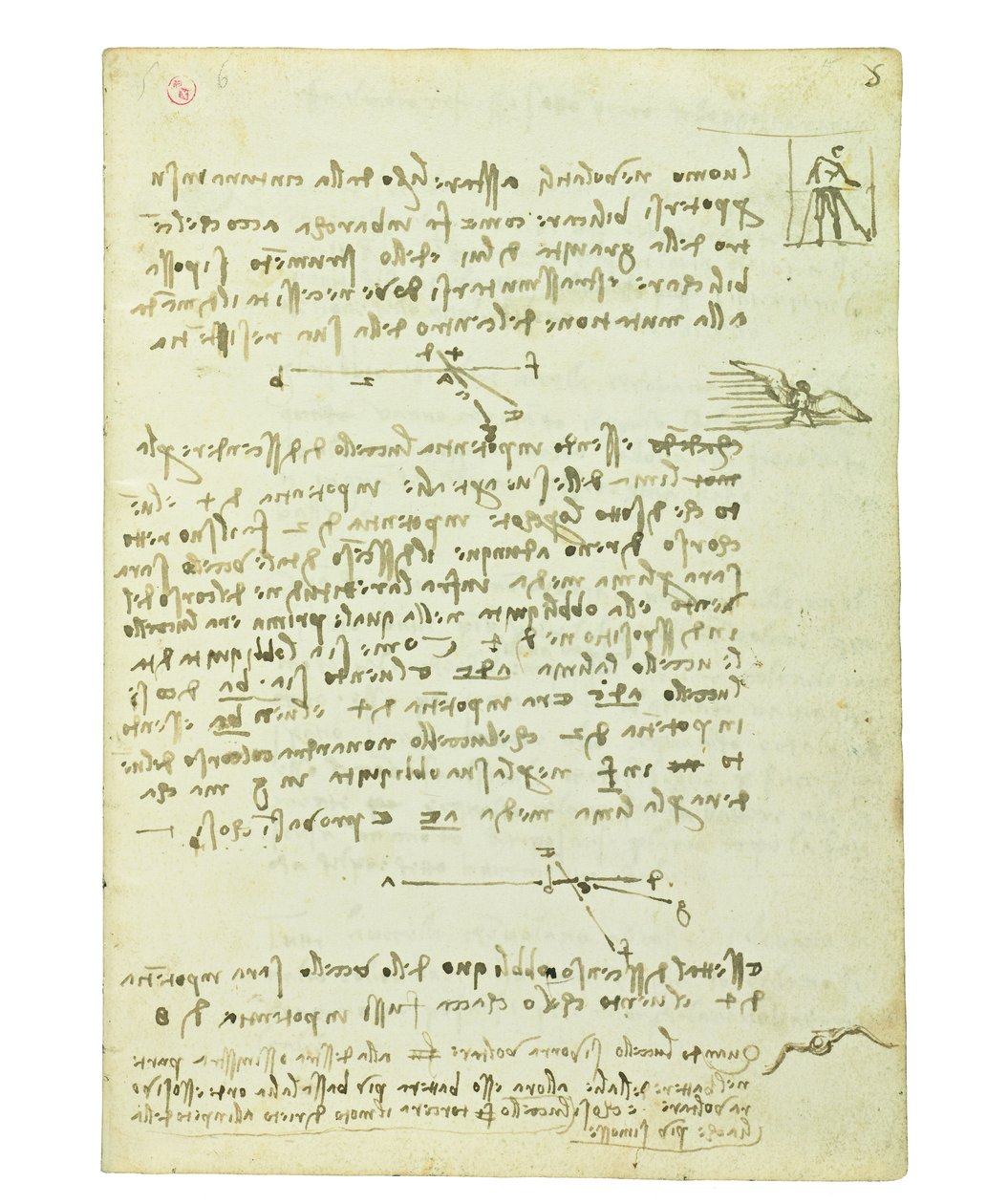 Codex no voo dos pássaros, folha 5 reto de Leonardo da Vinci