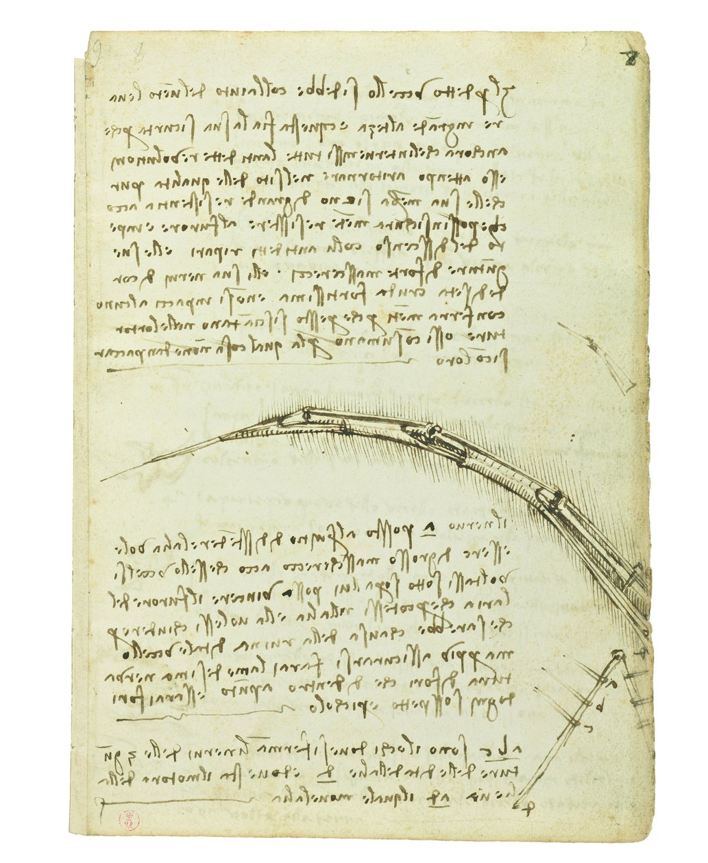 Codex sobre o voo dos pássaros, folha 7 reto de Leonardo da Vinci