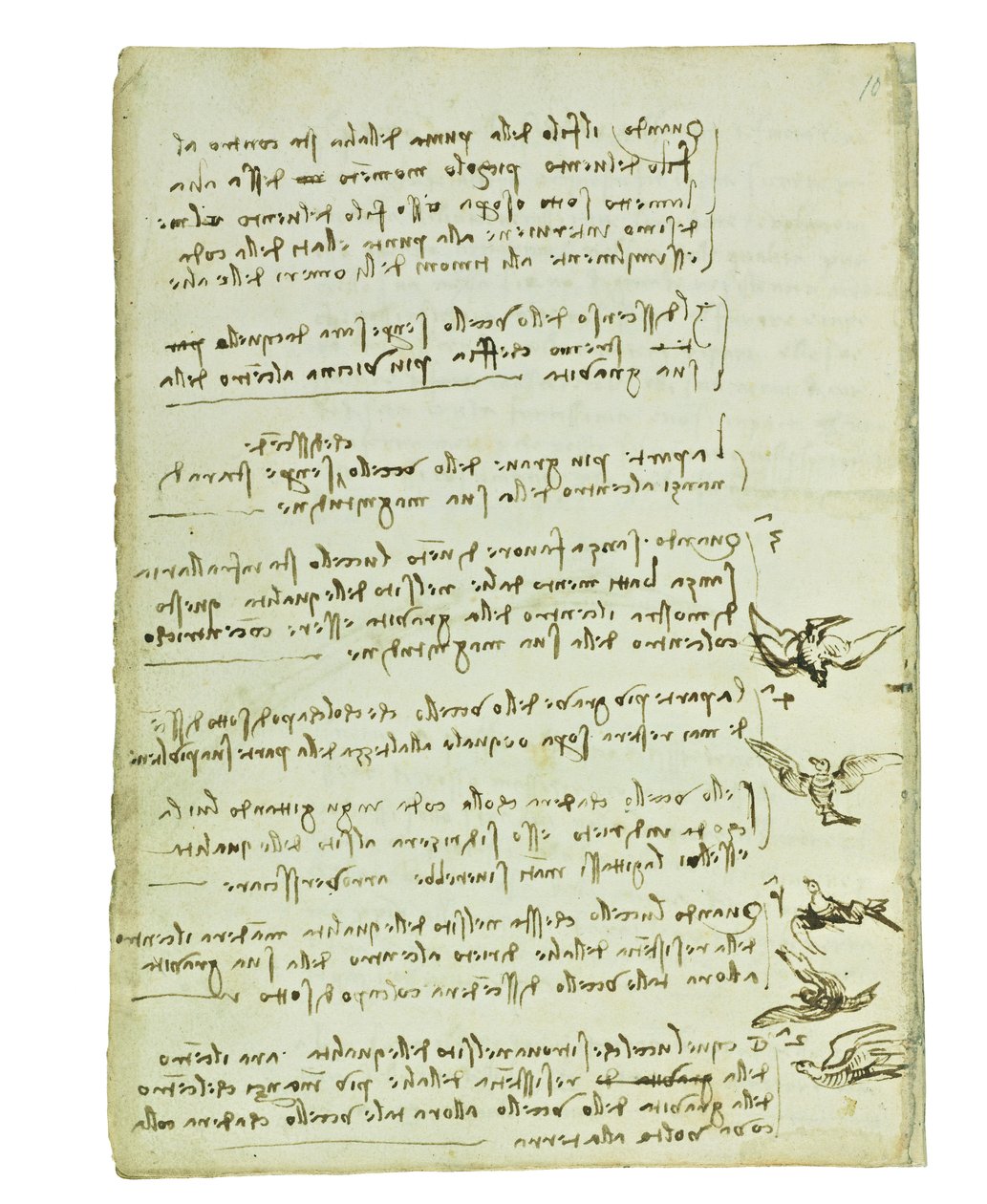 Codex sobre o voo dos pássaros, folha 7 verso de Leonardo da Vinci