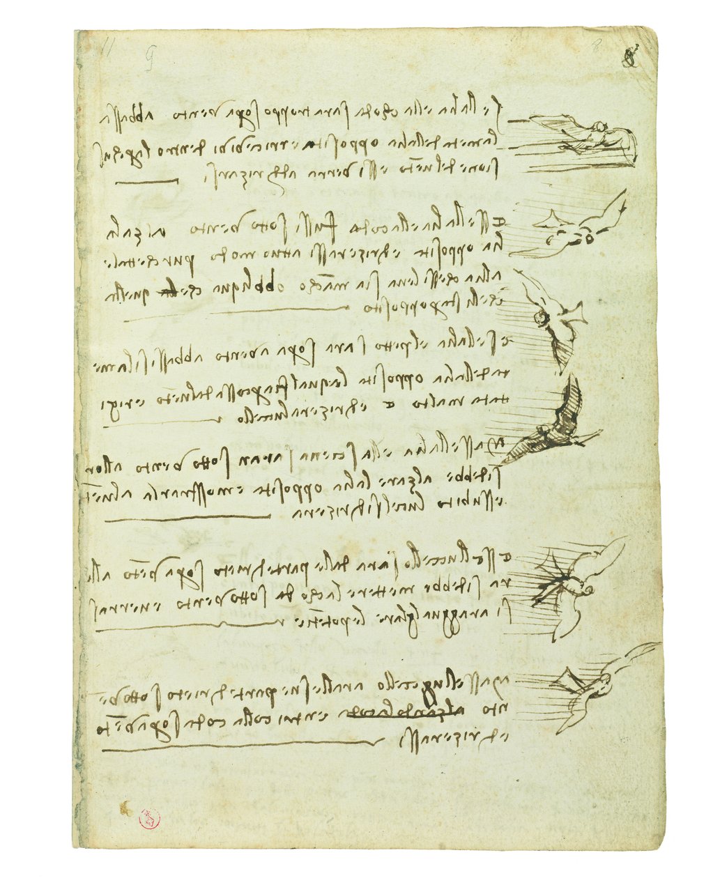 Codex sobre o voo dos pássaros, folha 8 reto de Leonardo da Vinci