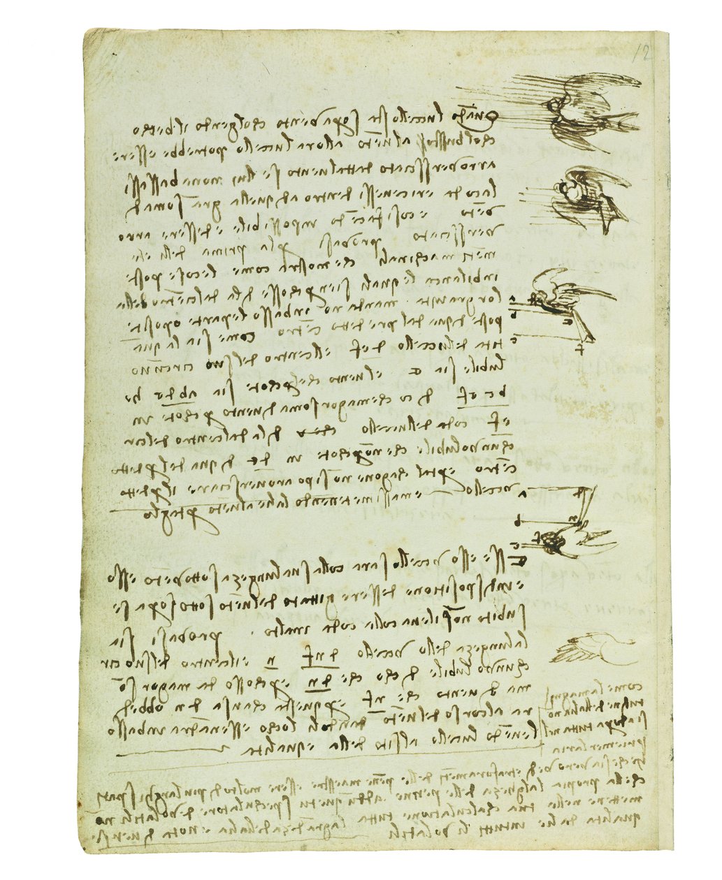 Codex sobre o vôo dos pássaros, folha 8 verso de Leonardo da Vinci