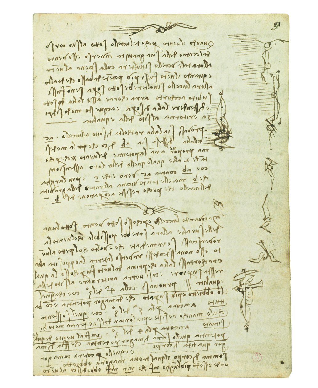 Codex sobre o voo dos pássaros, Folio 9 reto de Leonardo da Vinci