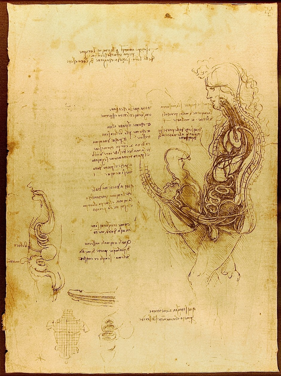 Coição de um homem e uma mulher hemisectados Luc Viatour de Leonardo da Vinci
