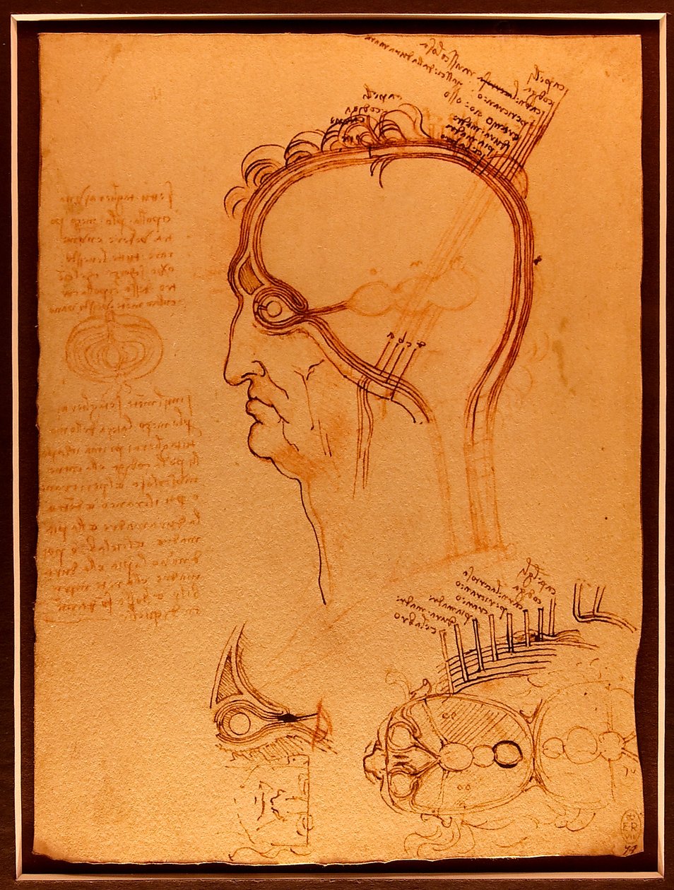 Guindaste de estudo Luc Viatour de Leonardo da Vinci