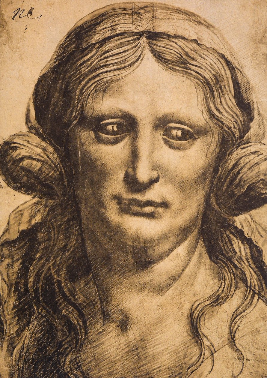 Retrato feminino; desenho de Leonardo da Vinci. O louvre, paris de Leonardo da Vinci