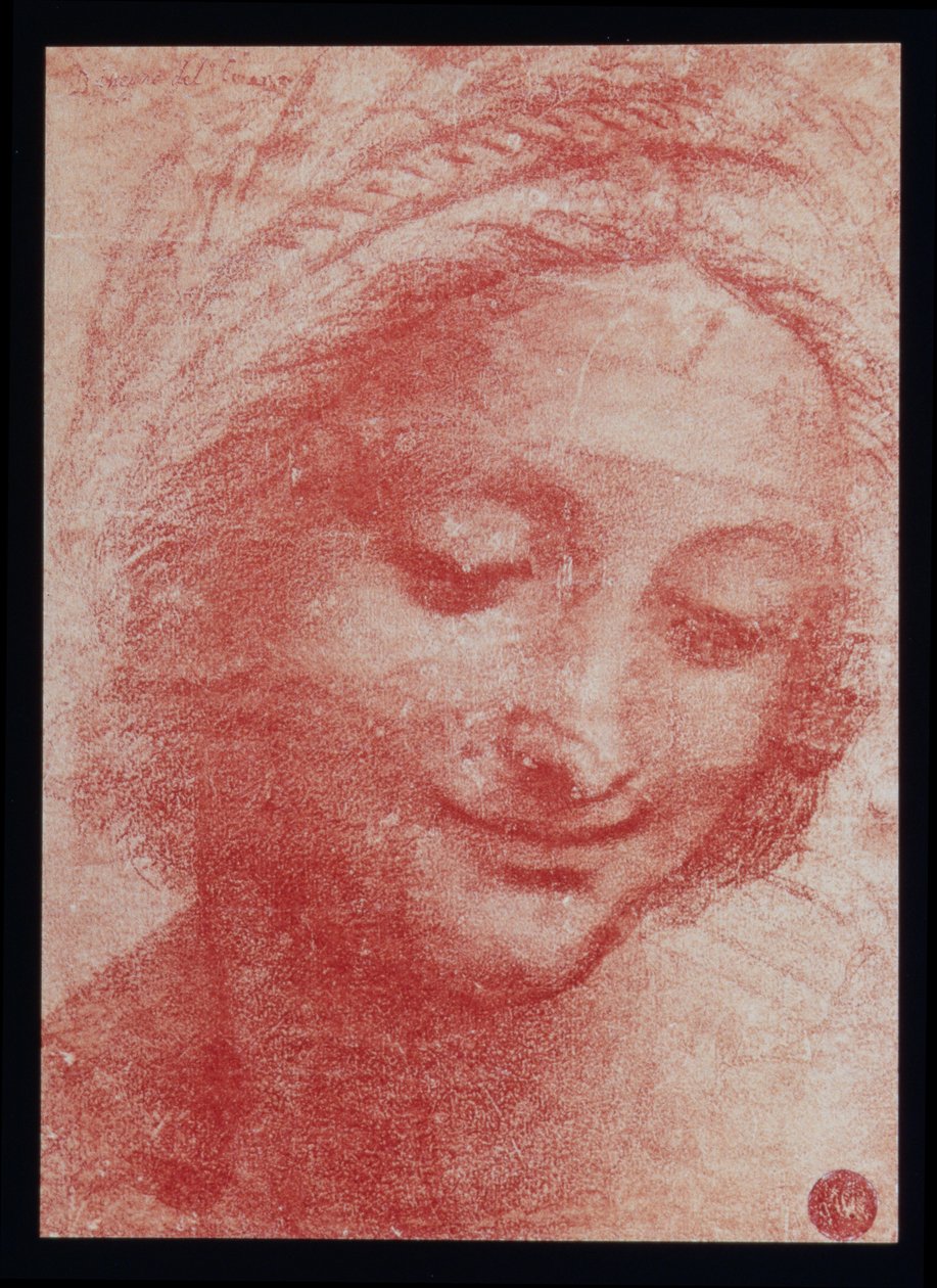 Cabeça de uma mulher (carvão sobre papel) de Leonardo da Vinci