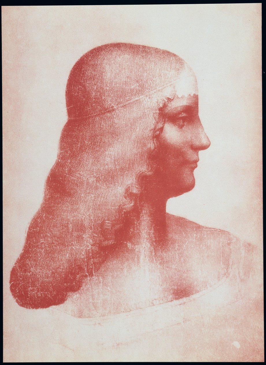 Cabeça de uma mulher no perfil (giz vermelho sobre papel) de Leonardo da Vinci