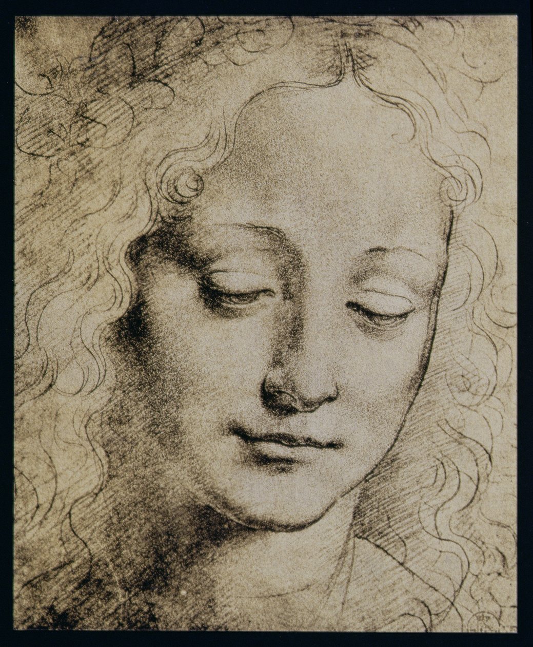 Cabeça de uma jovem de Leonardo da Vinci