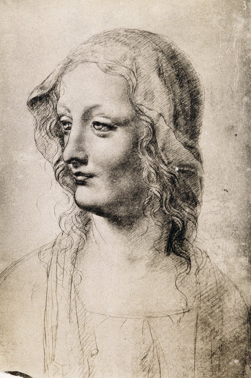 Chefe de uma jovem mulher (carvão sobre papel) de Leonardo da Vinci