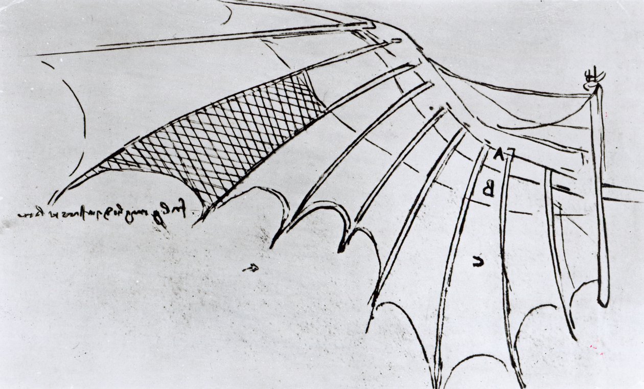 MSB 2173 fol. 74r Estudos de articulação das asas, 1487-90 de Leonardo da Vinci