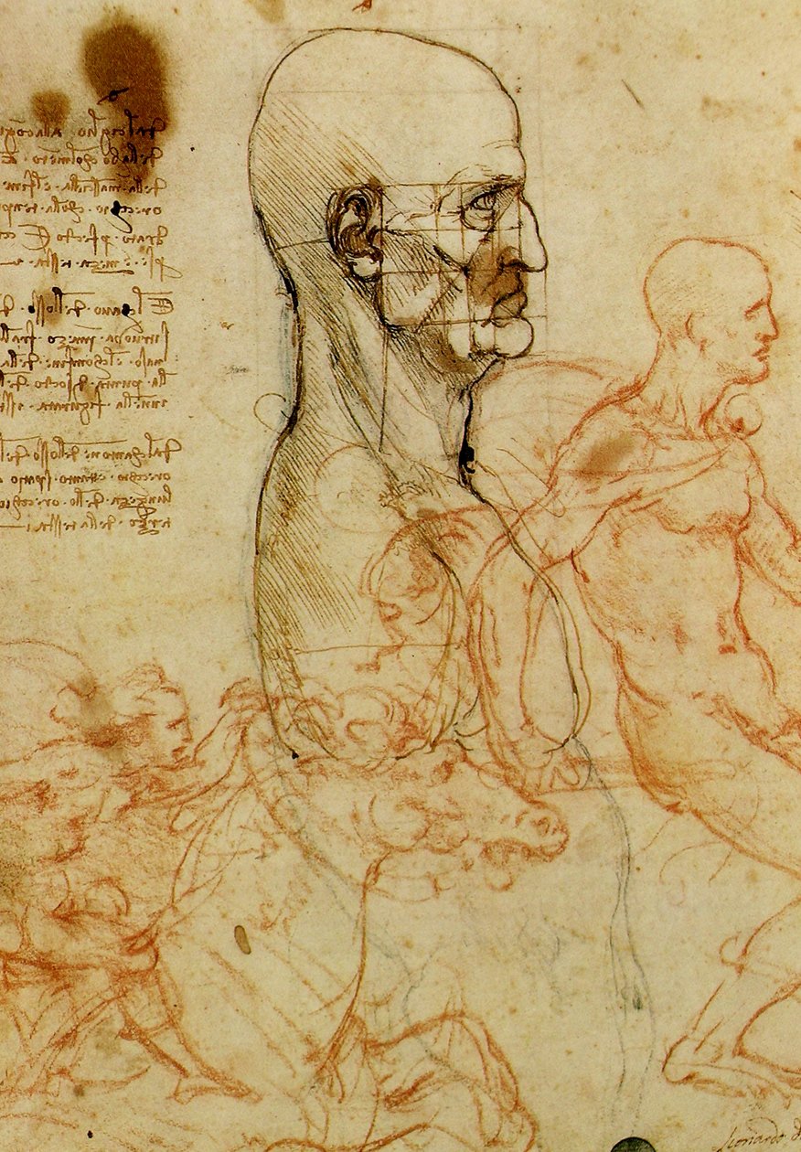 homens Kopfstudie de Leonardo da Vinci