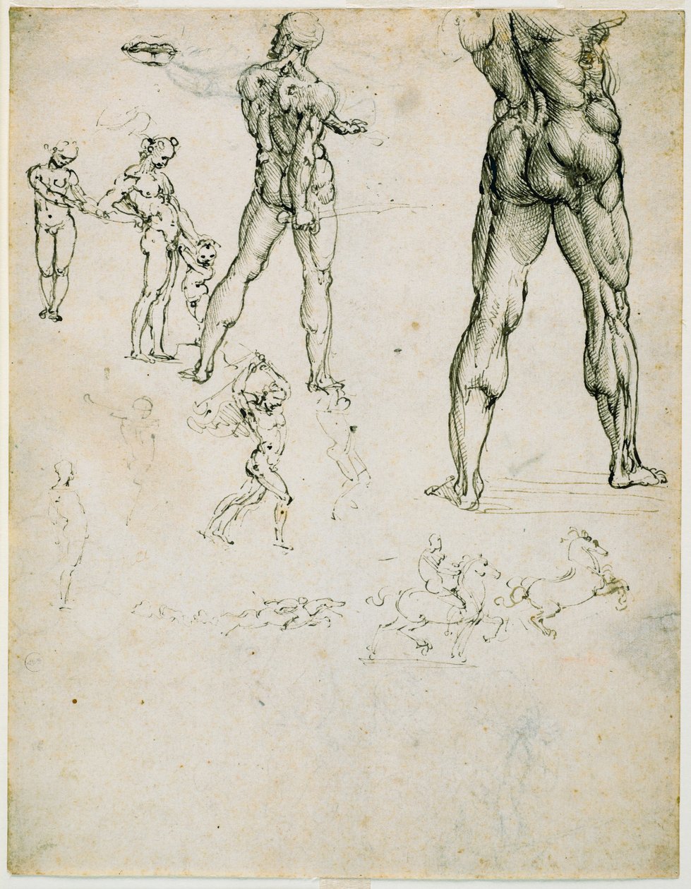 Nudi, pela “Batalha de Anghiari” e outros estudos de figuras, c. 1505 (caneta e tinta marrom, vestígios de carvão no papel) de Leonardo da Vinci