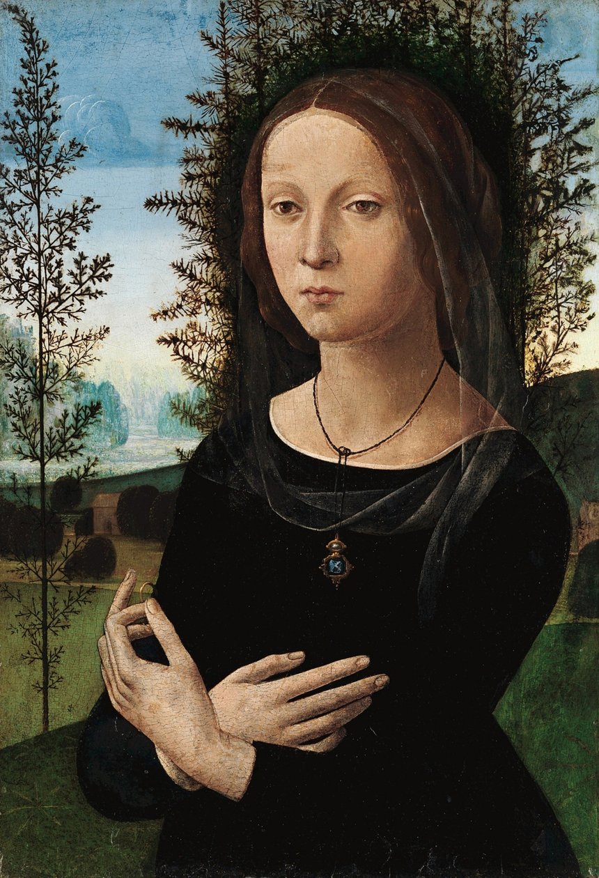 Retrato, de, um, mulher jovem de Leonardo da Vinci