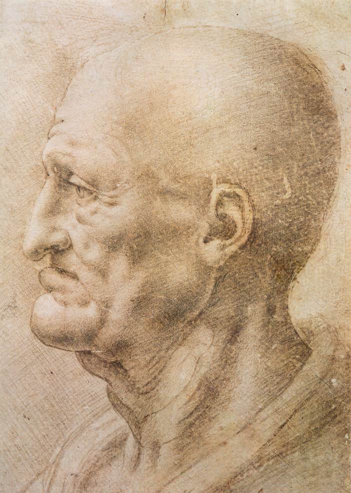 Perfil de um homem velho de Leonardo da Vinci