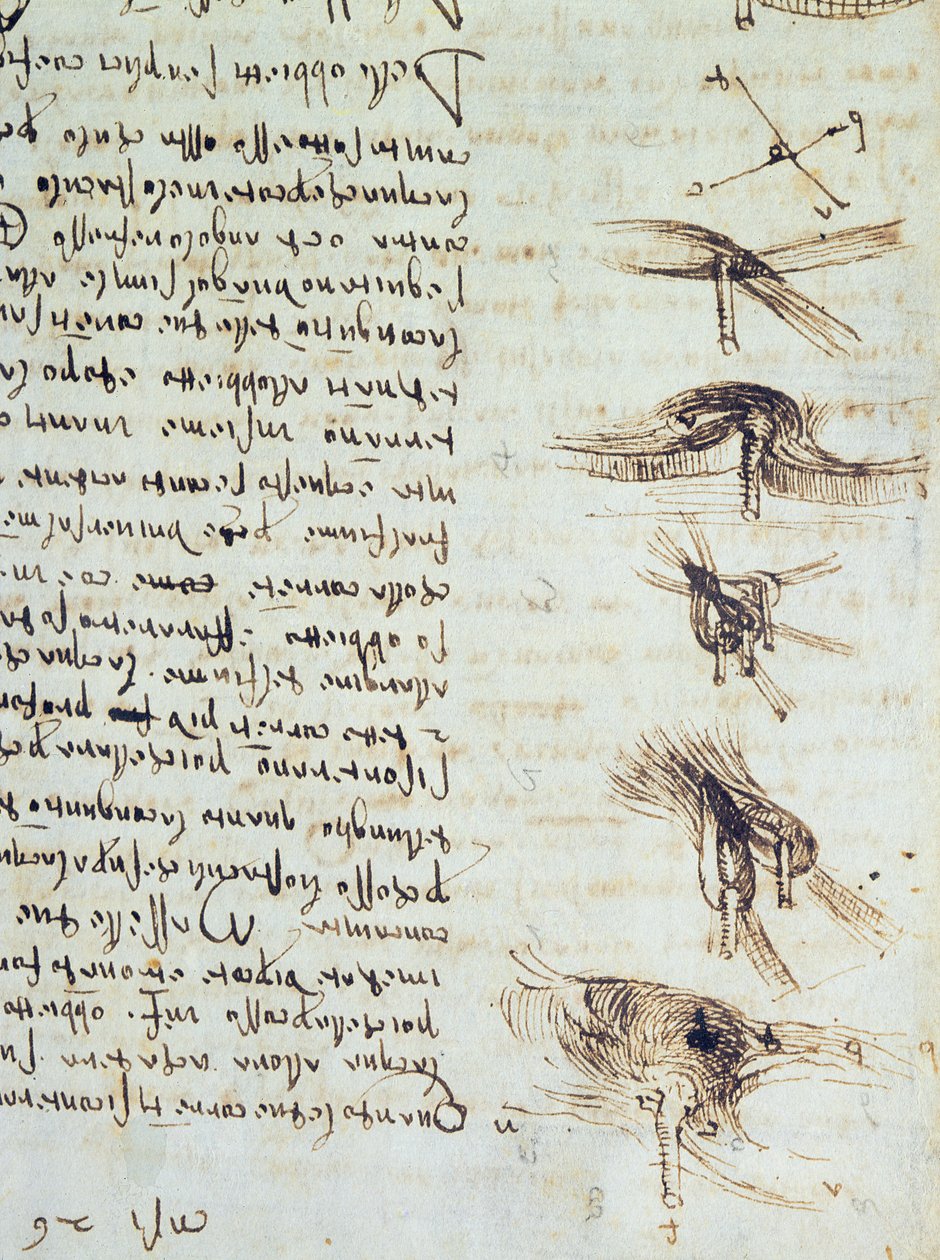 Diagramas científicos, do Codex Leicester, 1508-12 tinta sépia em papel de linho detalhe de 227790 de Leonardo da Vinci