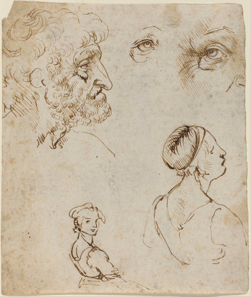 Folha de Estudos (recto) de Leonardo da Vinci