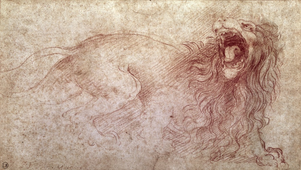 Esboço de um leão ruge (giz vermelho sobre papel) de Leonardo da Vinci