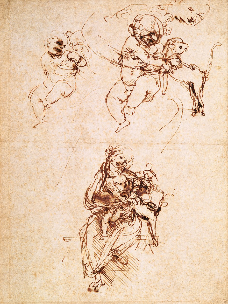 Estudos para uma Madonna com um gato, c.1478-80 (caneta e tinta no papel) de Leonardo da Vinci