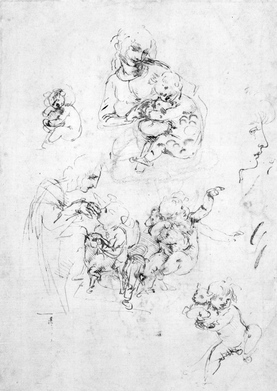 Estudos para uma Madona com um gato, c.1478-80 (caneta e tinta sobre giz preto sobre papel) de Leonardo da Vinci