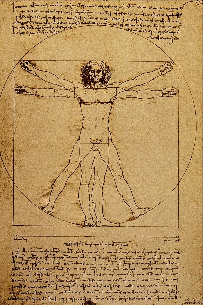Estudo do corpo humano de Leonardo da Vinci