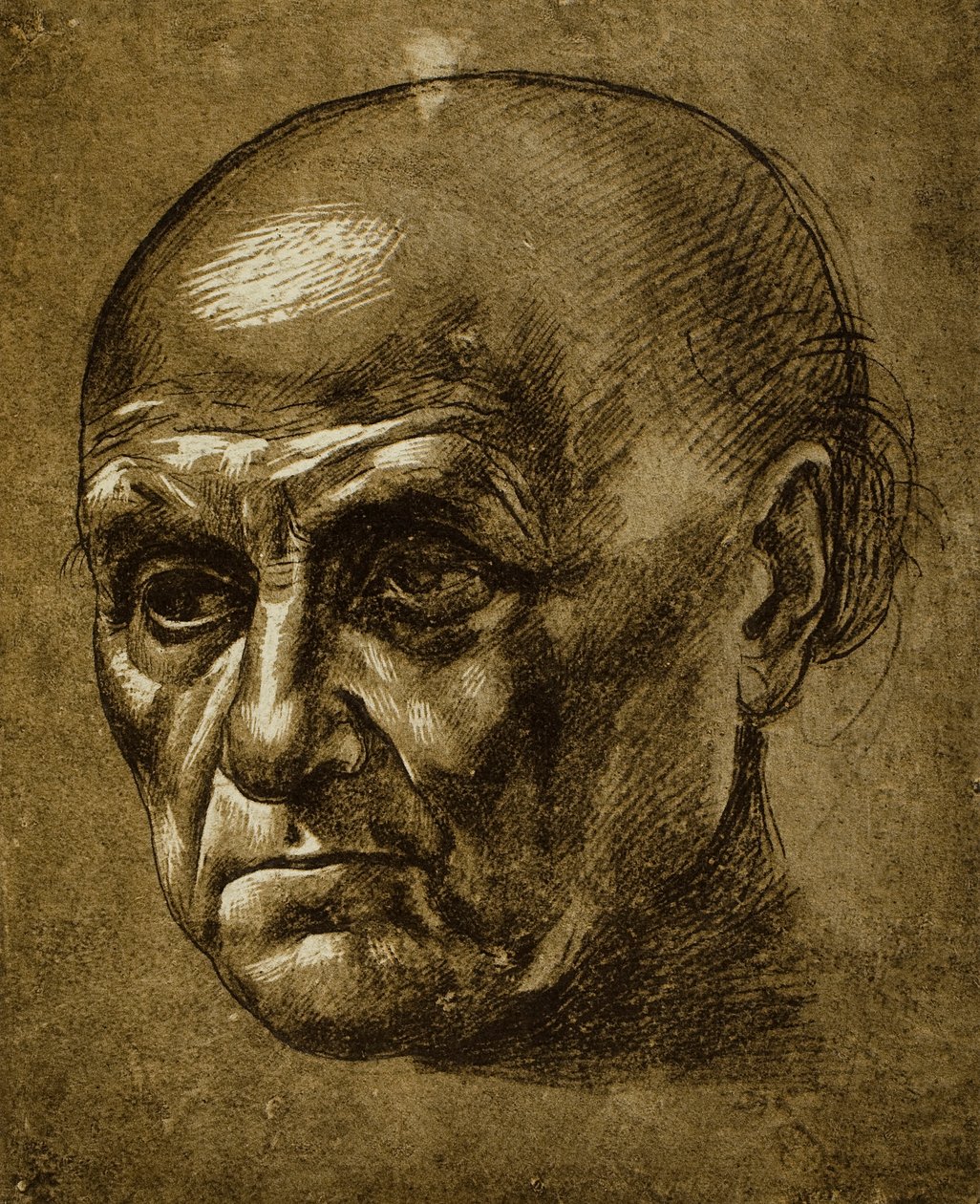 Estudo de um rosto masculino; desenho de Leonardo da Vinci. O louvre, paris de Leonardo da Vinci