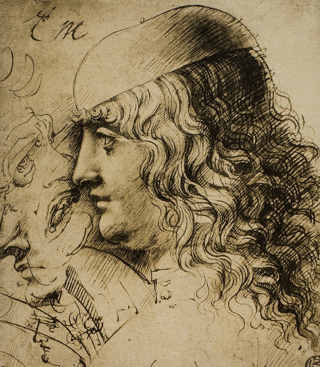 Estudo de uma cabeça masculina; desenho de Leonardo da Vinci. O louvre, paris de Leonardo da Vinci