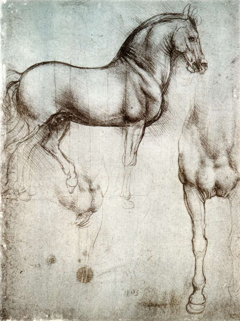 Estudo de cavalos de Leonardo da Vinci