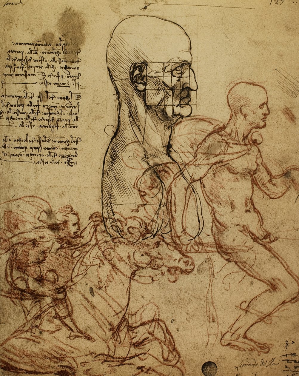 Estudo da fisionomia humana e cavaleiros para a pintura da Batalha de Anghiari; desenho de Leonardo da Vinci. Gallerie dellAccademia, Veneza de Leonardo da Vinci