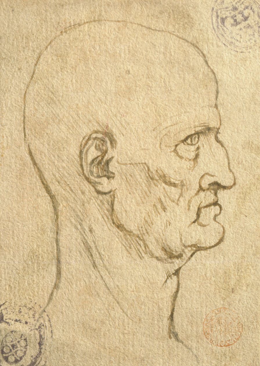 Estudo de proporções humanas de Leonardo da Vinci