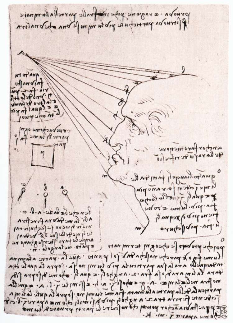 Estudo do efeito da luz em uma cabeça de perfil de Leonardo da Vinci