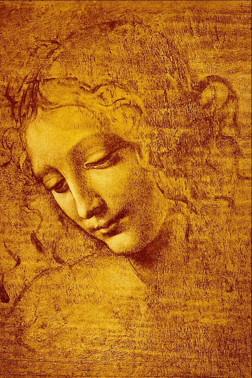 Cabeça de uma menina chamada La ... de Leonardo da Vinci