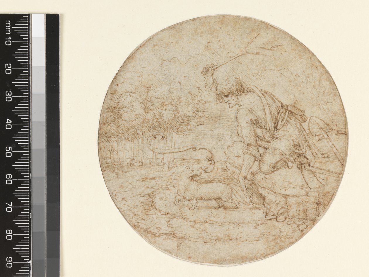 O arminho como um símbolo de pureza, c.1494 (caneta e tinta marrom sobre preto sobre papel) de Leonardo da Vinci