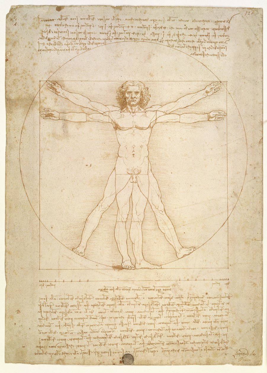 As proporções da figura humana (depois de Vitruvius), c.1492 de Leonardo da Vinci