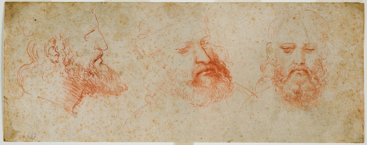 Três vistas de cabeça viril com barba, c. 1502 (sangue no papel) de Leonardo da Vinci