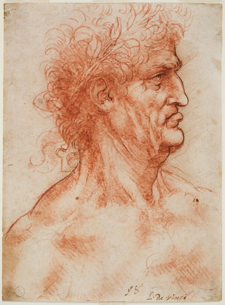 Cabeça de perfil viril coroada de louro, c. 1506-10 (sangue com contornos recortados em caneta em papel branco) de Leonardo da Vinci