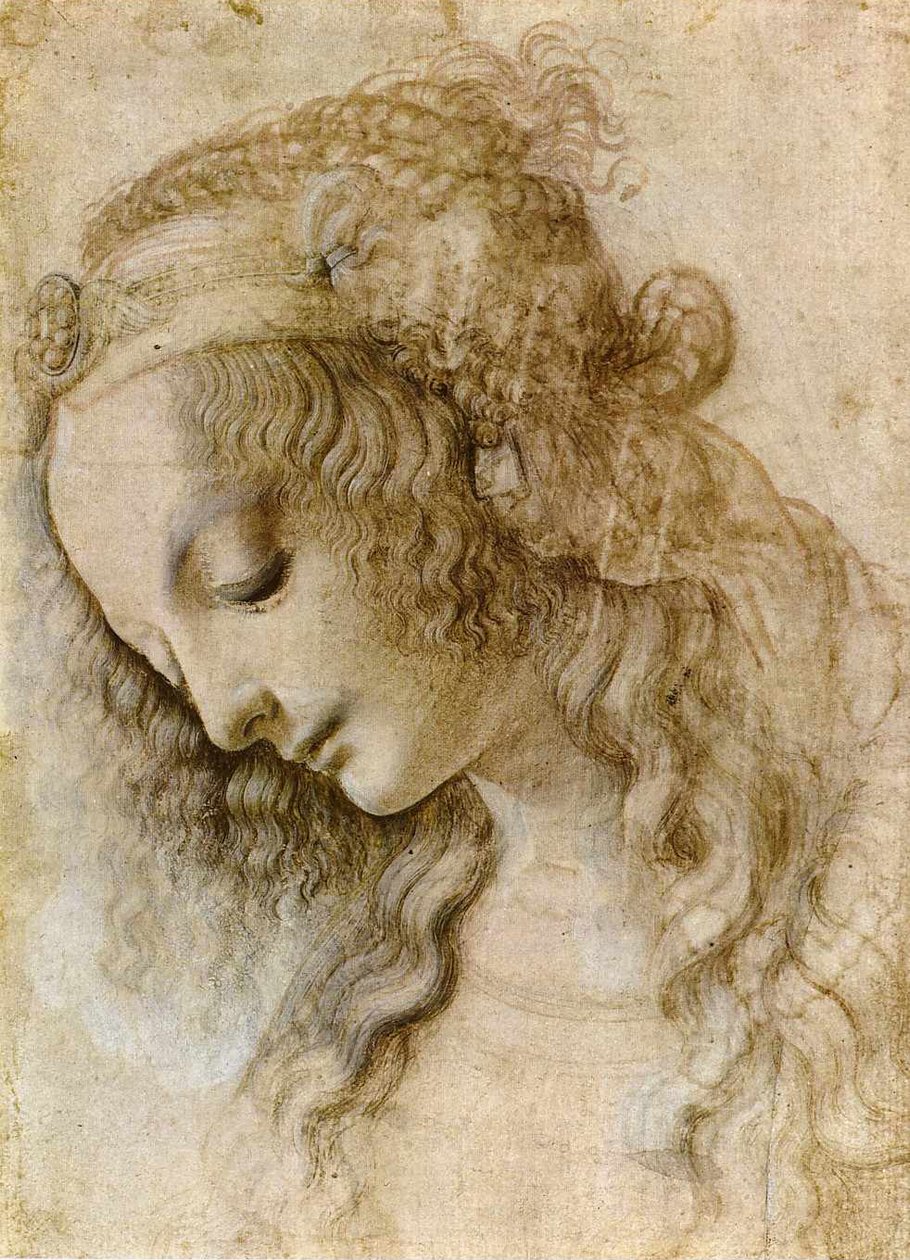 Cabeça feminina no perfil de Leonardo da Vinci