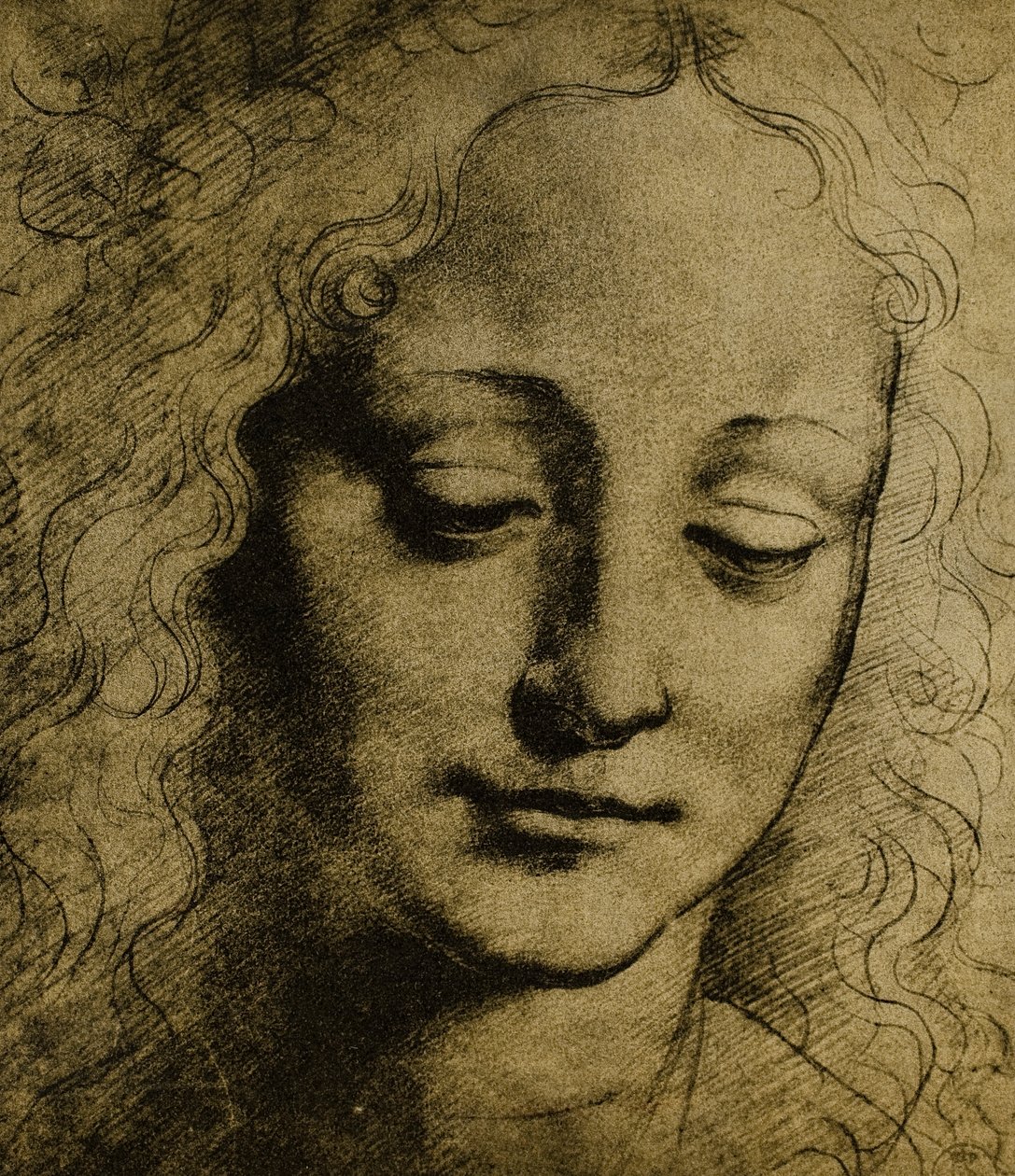 Cabeça de jovens; desenho de Leonardo da Vinci. Gabinete de Desenhos e Gravuras, Galeria Uffizi, Florença de Leonardo da Vinci