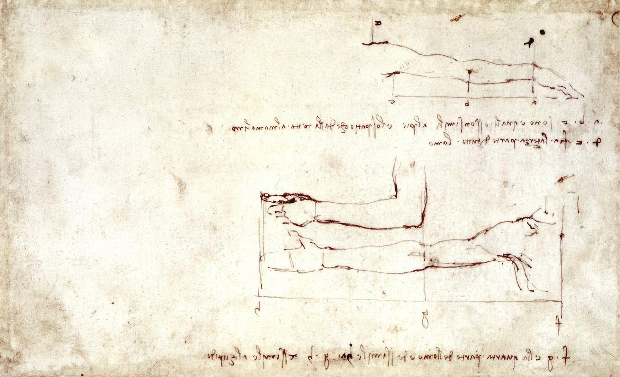braço de Leonardo da Vinci