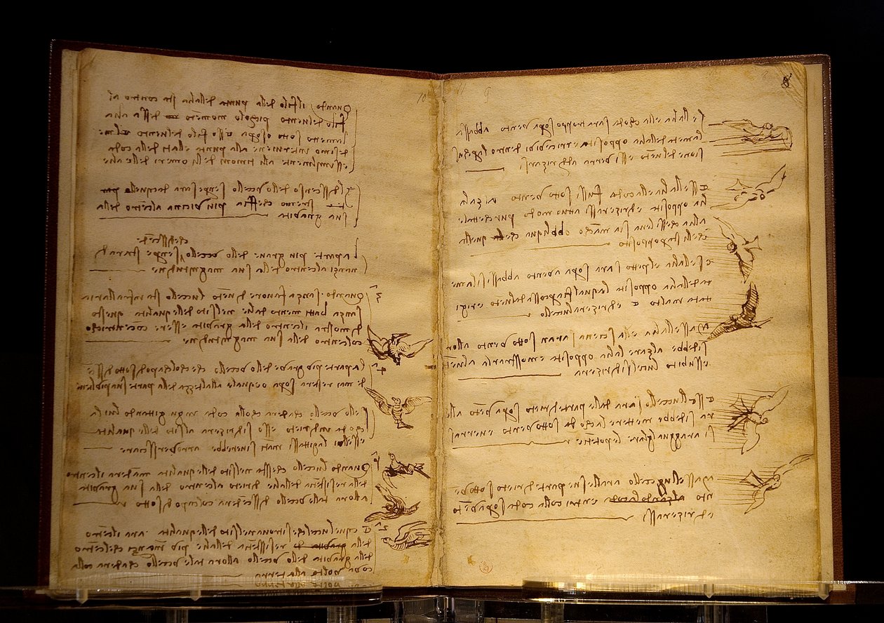 códice de pássaros voadores Luc Viatour de Leonardo da Vinci