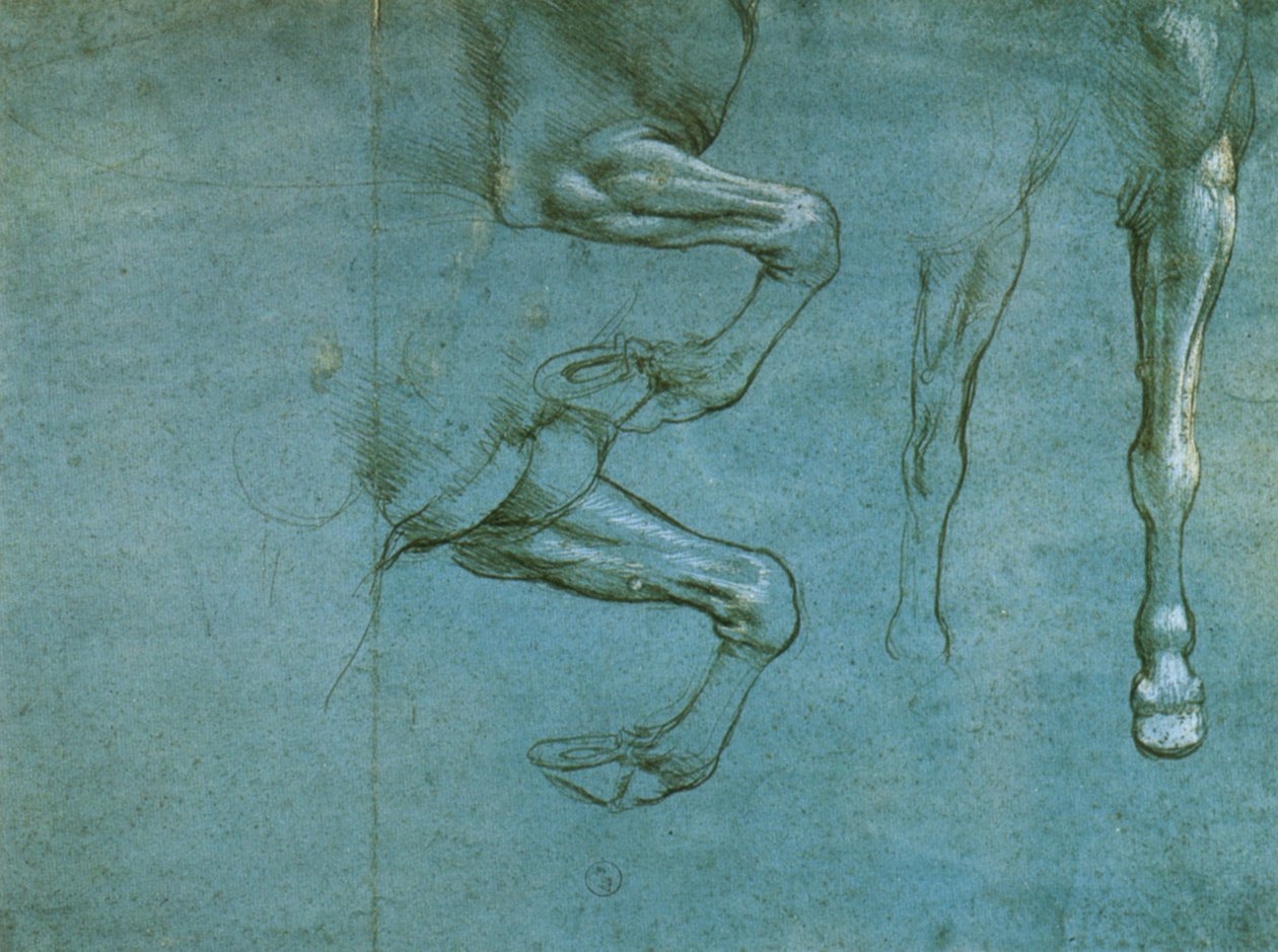 estudo das patas dianteiras de um cavalo de Leonardo da Vinci