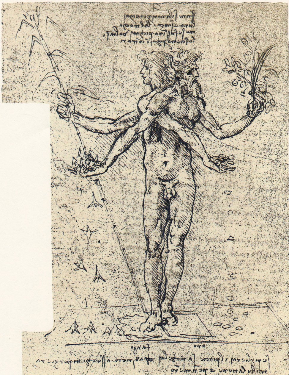 desenho desconhecido de andrógino corpus com duas cabeças de Leonardo da Vinci