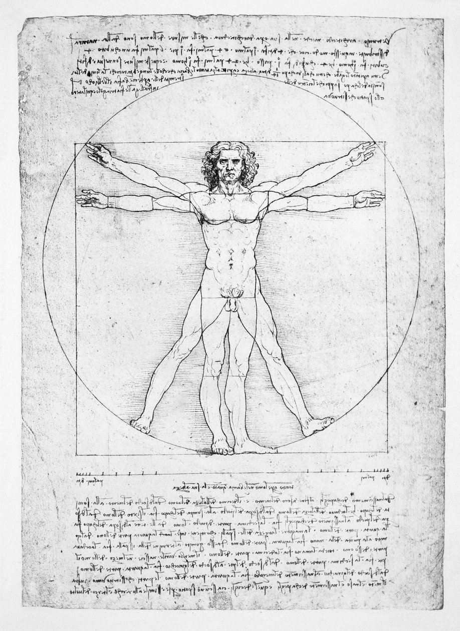 As proporções da figura humana (depois de Vitruvius), c.1492 (facsimile) de Leonardo da (after) Vinci