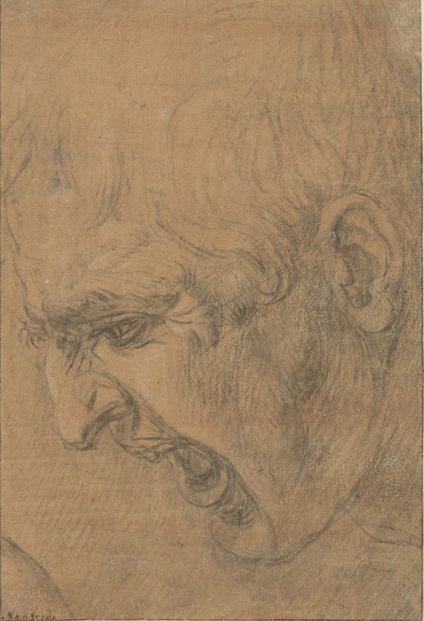 Cabeça de um homem aos gritos de Leonardo da (follower of) Vinci