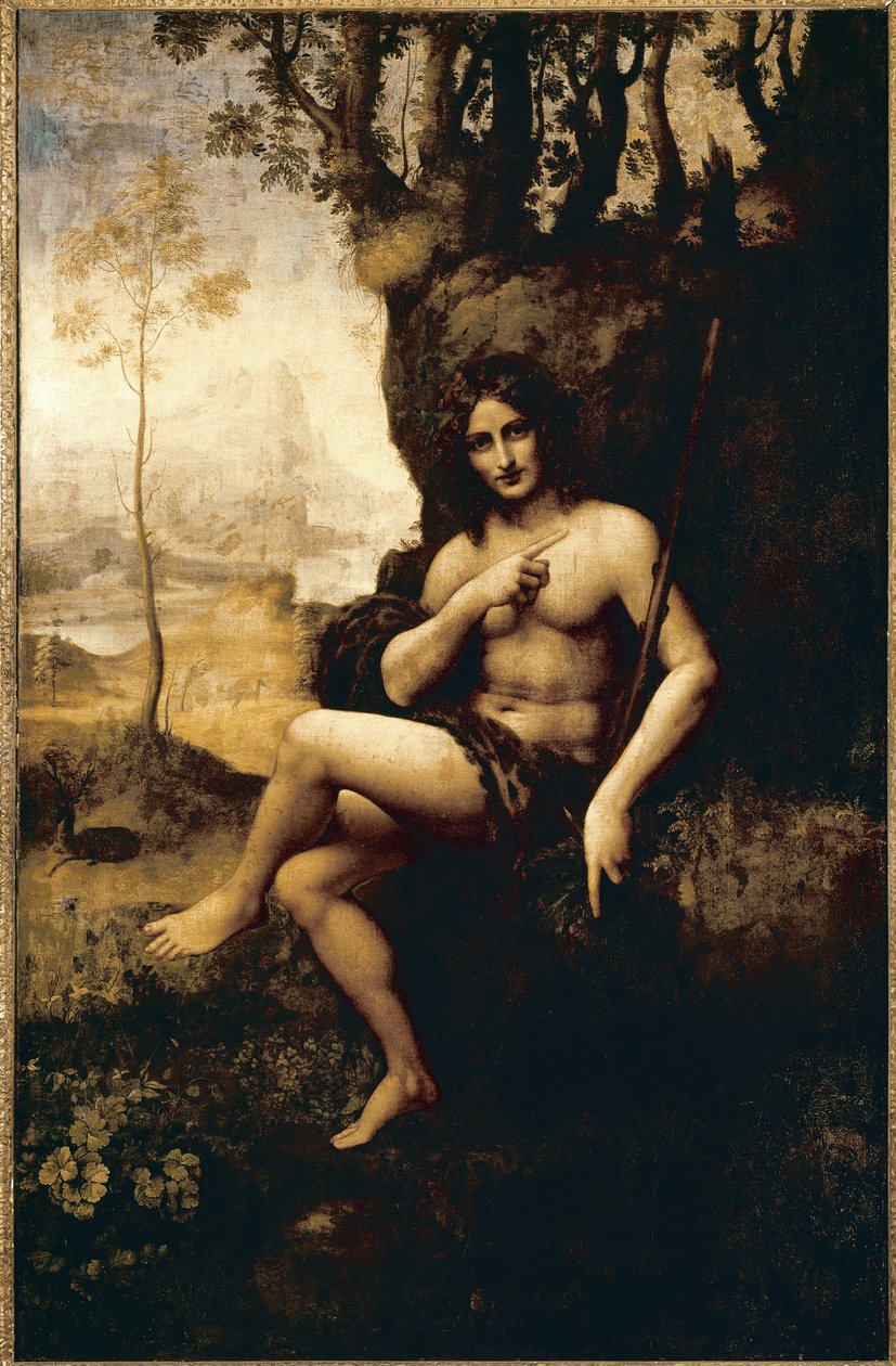 Bacchus (óleo transposto sobre tela de Leonardo da (studio of) Vinci